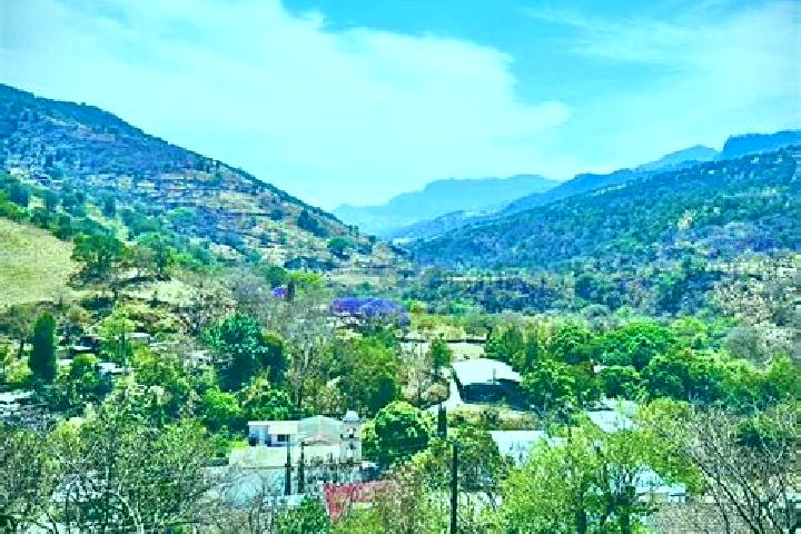 Ella, 35 — Escort in Atzumpa, Mexico