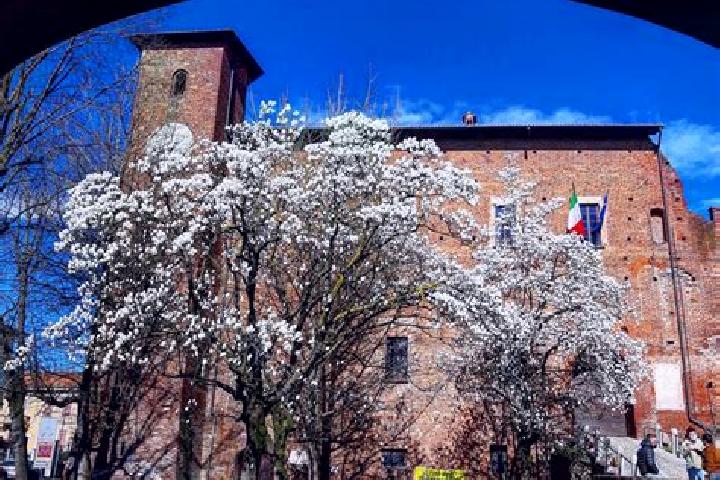 Ella, 35 — Escort in Cernusco sul Naviglio, Italy