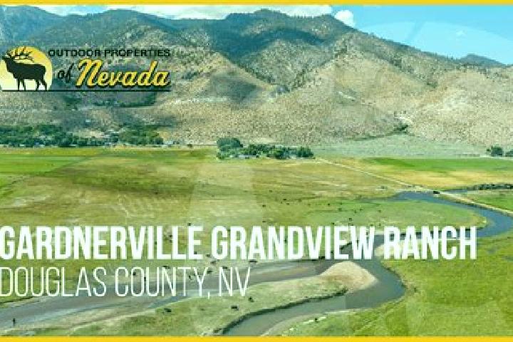 Ella, 35 — Escort in Gardnerville Ranchos, United States