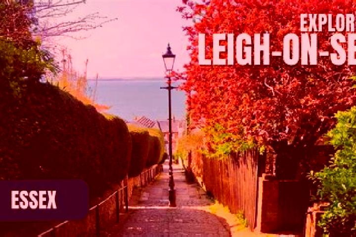 Ella, 36, a black amber-eyed ebony companion based in Leigh-on-Sea. Offering Roleplay, Couples, Travel Companion. Available for incall and outcall, day and e...