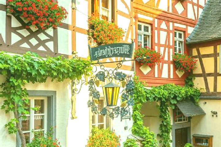 Ella, 36 — Escort in Ellhoft, Germany