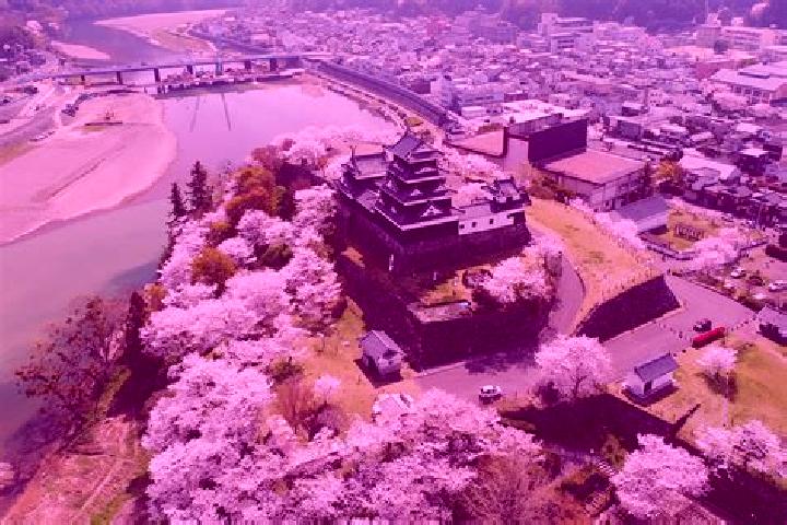 Ella, 36 — Escort in Ozu, Japan