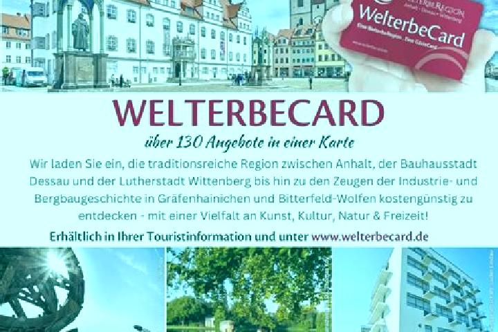 Ella, 36 — Escort in Piesteritz, Germany
