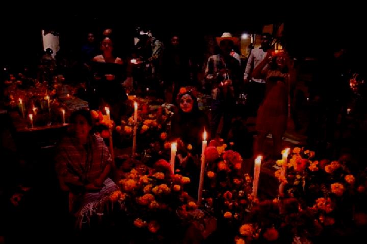 Ella, 36 — Escort in Plan de los Muertos, Mexico