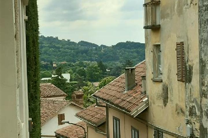 Ella, 36 — Escort in Revigliasco, Italy