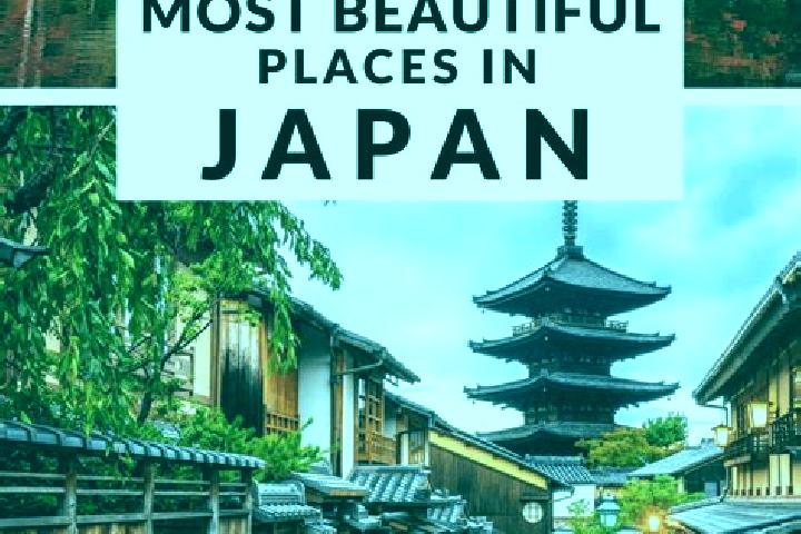 Ella, 36 — Escort in Sugahama, Japan