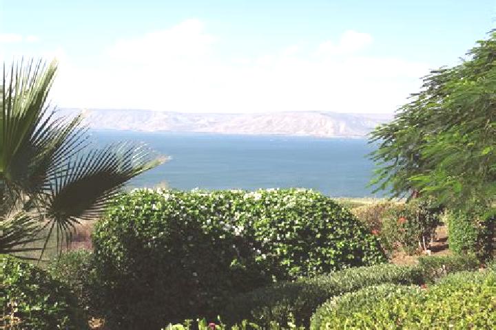 Ella, 36 — Escort in Tiberias, Israel