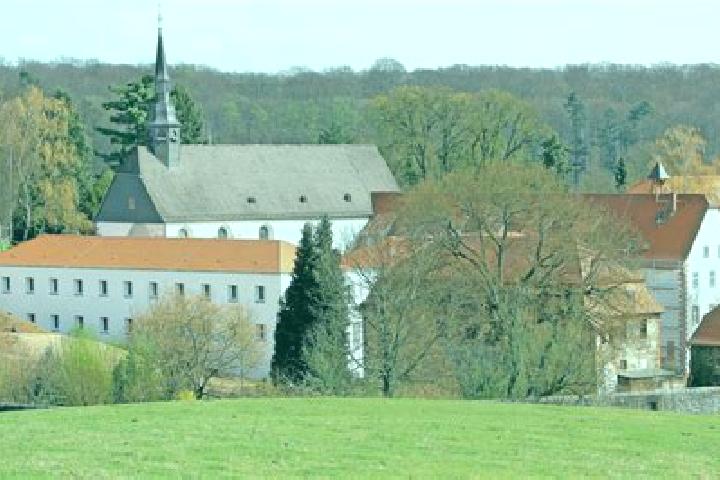 Ella, 37 — Escort in Engelthal, Germany