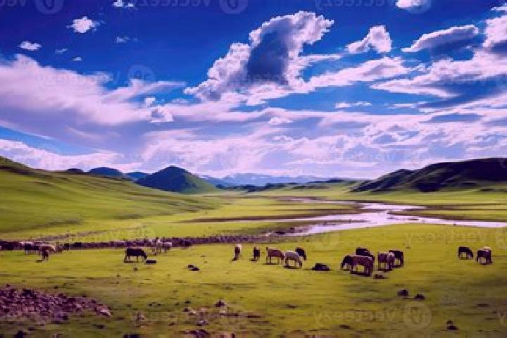 Ella, 37 — Escort in Khovd, Mongolia