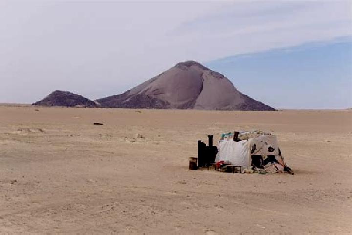 Ella, 37 — Escort in Tembedgha, Mauritania