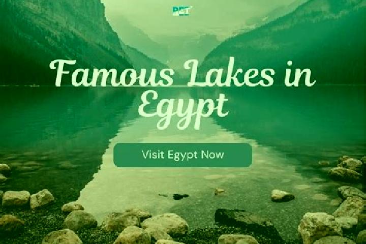 Ella, 38 — Escort in Al Matariyah, Egypt