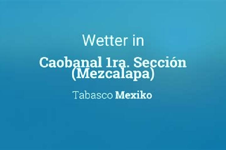 Ella, 38 — Escort in Caobanal 1ra. Seccion (Mezcalapa), Mexico