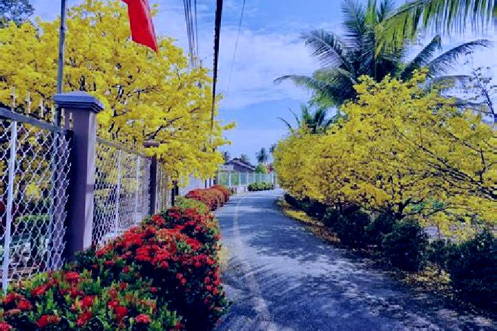 Ella, 38 — Escort in Hoa Vang, Vietnam