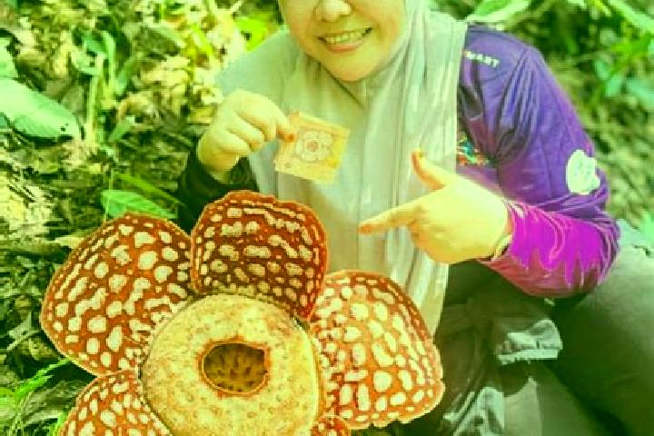 Ella, 38 — Escort in Kampung Bongor, Malaysia