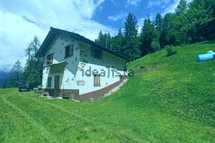 Ella, 38 — Escort in Laggio di Cadore, Italy