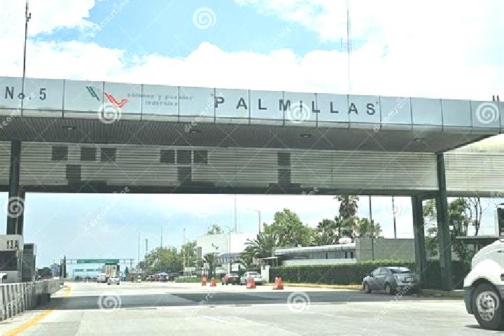 Ella, 38 — Escort in Palmillas, Mexico