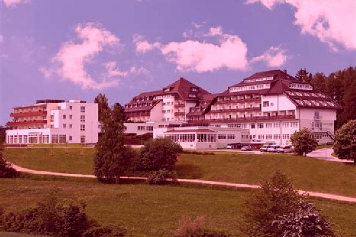 Ella, 39 — Escort in Althofen, Austria