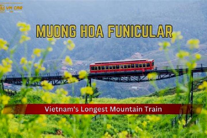 Ella, 39 — Escort in Muong Chien, Vietnam