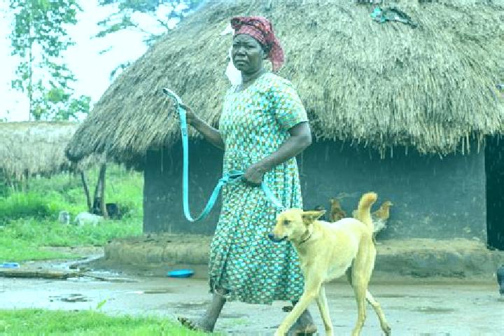 Ella, 39 — Escort in Paidha, Uganda