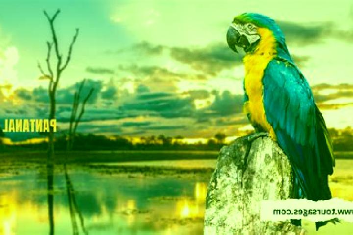 Ella, 39 — Escort in Pantanal, Brazil