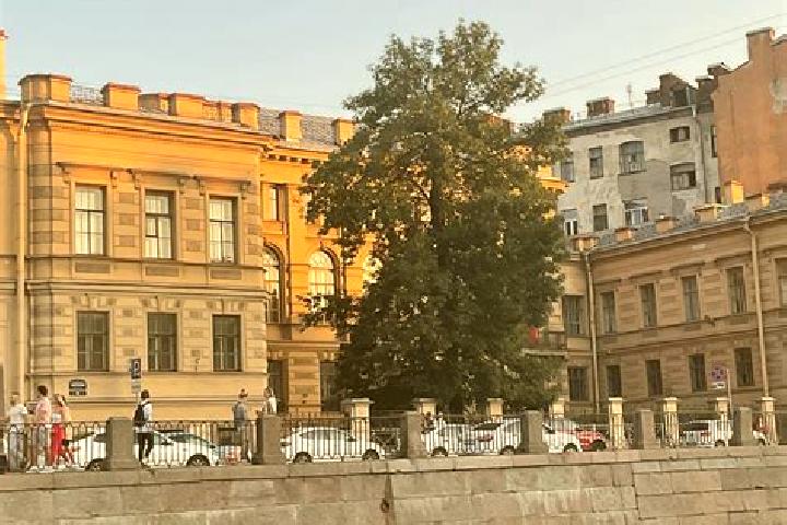 Ella, 39 — Escort in Petrovskiy, Russia