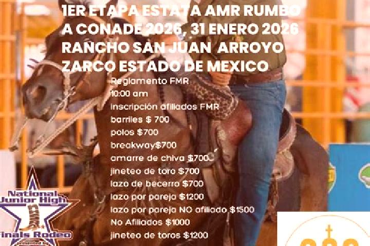 Ella, 39 — Escort in Rodeo Arroyo Pepesca, Mexico