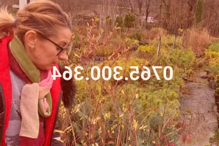 Ella, 39 — Escort in Rugasesti, Romania