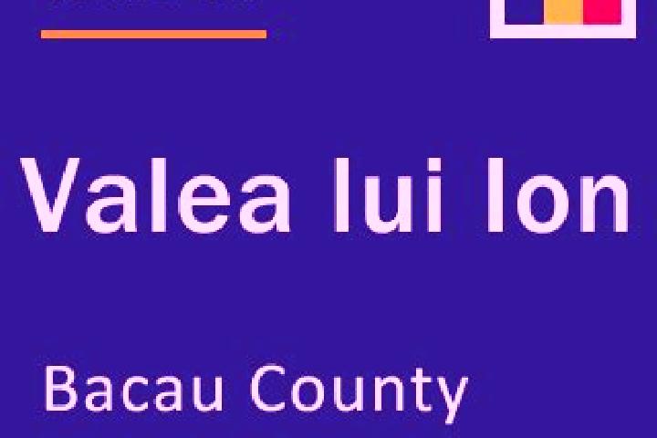Ella, 39 — Escort in Valea lui Ion, Romania