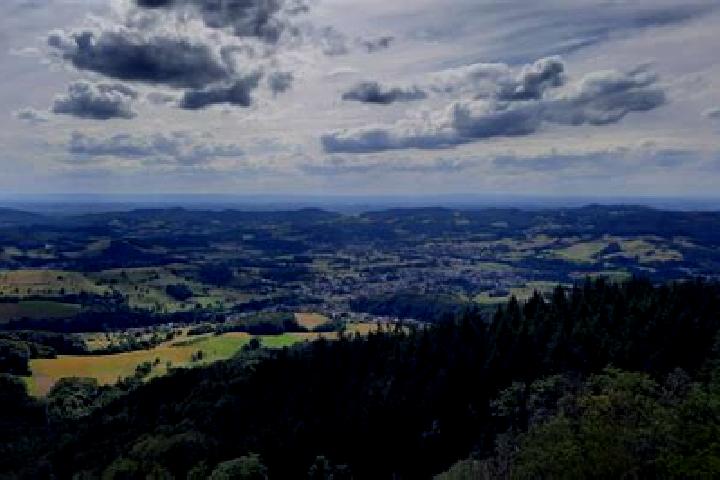 Ella, 39 — Escort in Wald-Michelbach, Germany