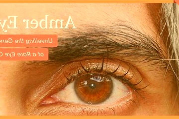 Ellie, 20, a black amber-eyed caribbean companion based in Megrine. Offering CIM, A-Level, Overnight, Deep French Kissing. Available for incall and outcall, ...