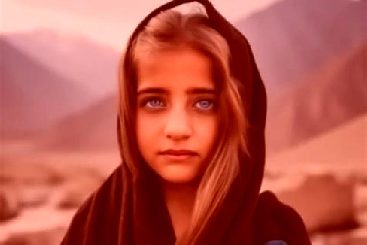 Ellie, 20, a chestnut amber-eyed middle eastern companion based in Solotcha. Offering OWO, Girlfriend Experience, Travel Companion. Available for incall and ...