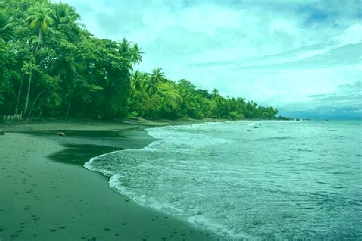 Ellie, 20, a chestnut blue-eyed caribbean companion based in Pavones. Offering A-Level, Tantra, 69, Dinner Date. Available for incall and outcall, day and ev...