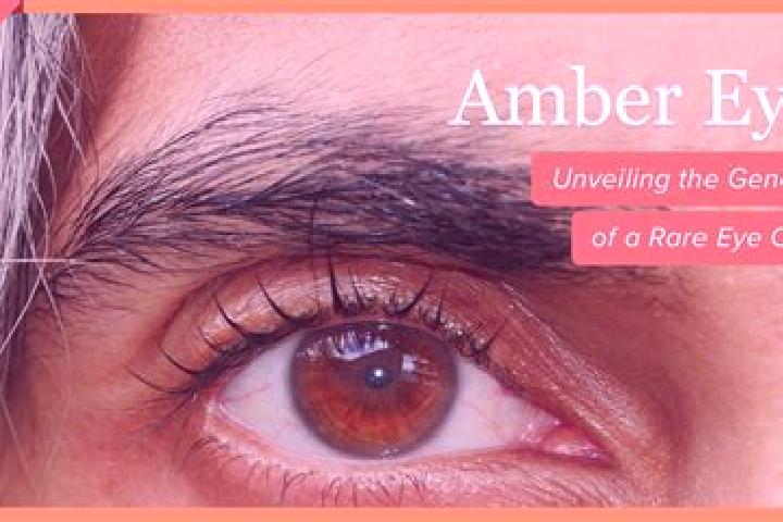 Ellie, 20, a red amber-eyed caucasian companion based in Sao Pedro da Quilemba. Offering GFE, Dinner Date, Fetish, Massage. Available for incall and outcall,...