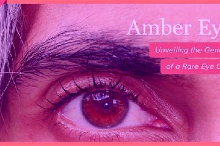 Ellie, 20, a red amber-eyed latina companion based in Balasan. Offering Overnight, A-Level, Dinner Date. Available for incall and outcall, overnight bookings...