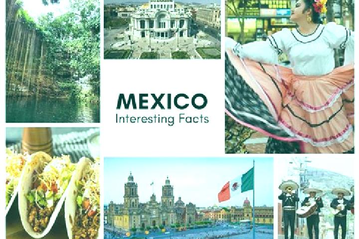 Ellie, 20 — Escort in Chichiltepec, Mexico