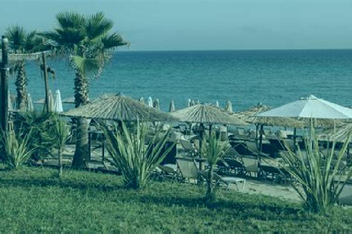 Ellie, 20 — Escort in Elaiochori, Greece