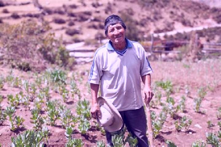Ellie, 20 — Escort in Jarpa, Peru