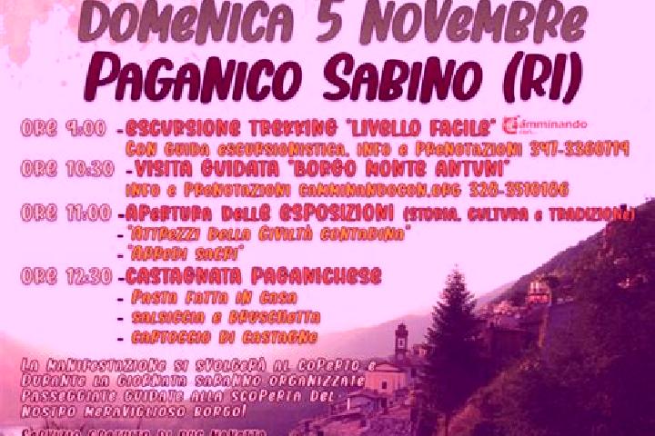 Ellie, 20 — Escort in Paganico Sabino, Italy