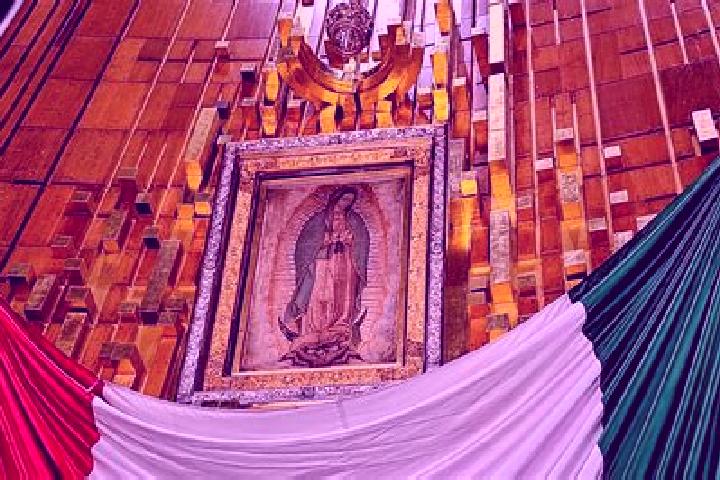 Ellie, 20 — Escort in Santa Cruz de Guadalupe, Mexico