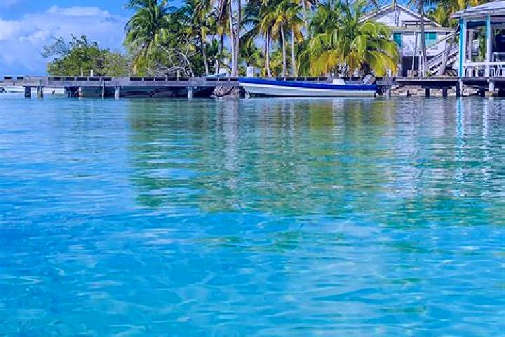 Ellie, 20 — Escort in Western Paradise, Belize