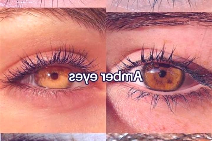 Ellie, 21, a brunette amber-eyed indian companion based in Bila Tremesna. Offering Duos, 69, Couples, Party Girl. Available for incall and outcall, overnight...