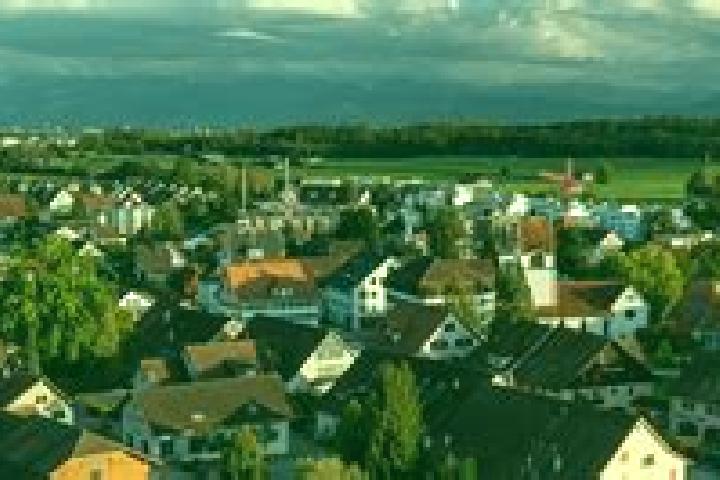 Ellie, 21 — Escort in Fehraltorf, Switzerland