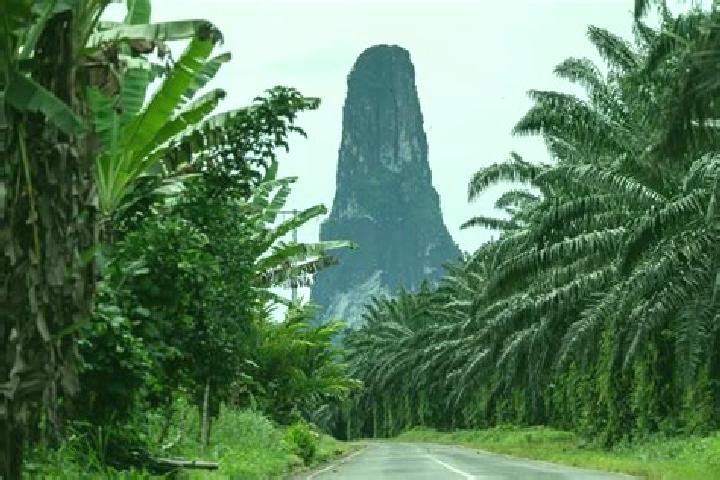 Ellie, 21 — Escort in Monte Cafe, Sao Tome and Principe
