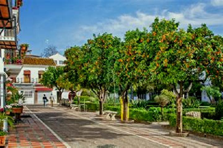 Ellie, 21 — Escort in San Pedro de los Naranjos, Mexico