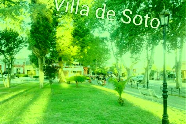 Ellie, 21 — Escort in Villa de Soto, Argentina