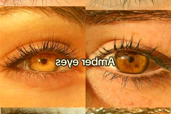 Ellie, 22, a brunette amber-eyed indian companion based in Matari. Offering Overnight, CIM, Travel Companion, Tantra. Available for incall and outcall, overn...