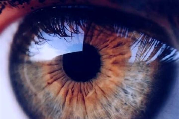 Ellie, 22, a red hazel-eyed middle eastern companion based in Soelden. Offering Deep French Kissing, A-Level, Prostate Massage, Massage. Available for incall...