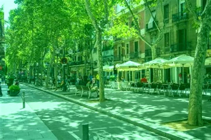 Ellie, 22 — Escort in Barri de Sant Andreu, Spain