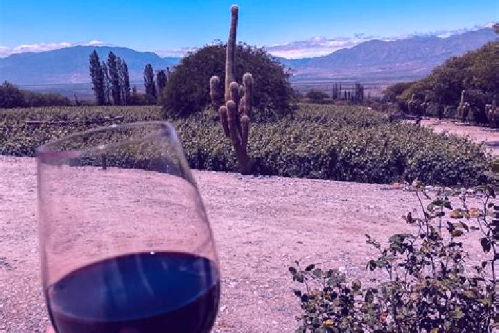 Ellie, 22 — Escort in Cafayate, Argentina