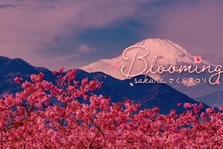 Ellie, 22 — Escort in Muroto, Japan